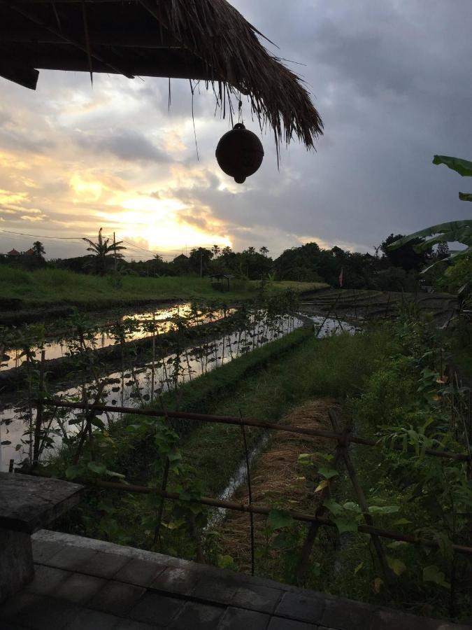 Cat Cow Yoga Villa Canggu Buitenkant foto